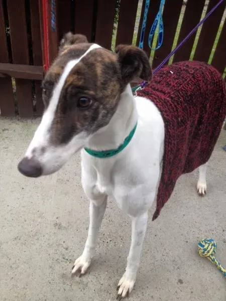 5755 1135745446443153 7232291736085285339 n