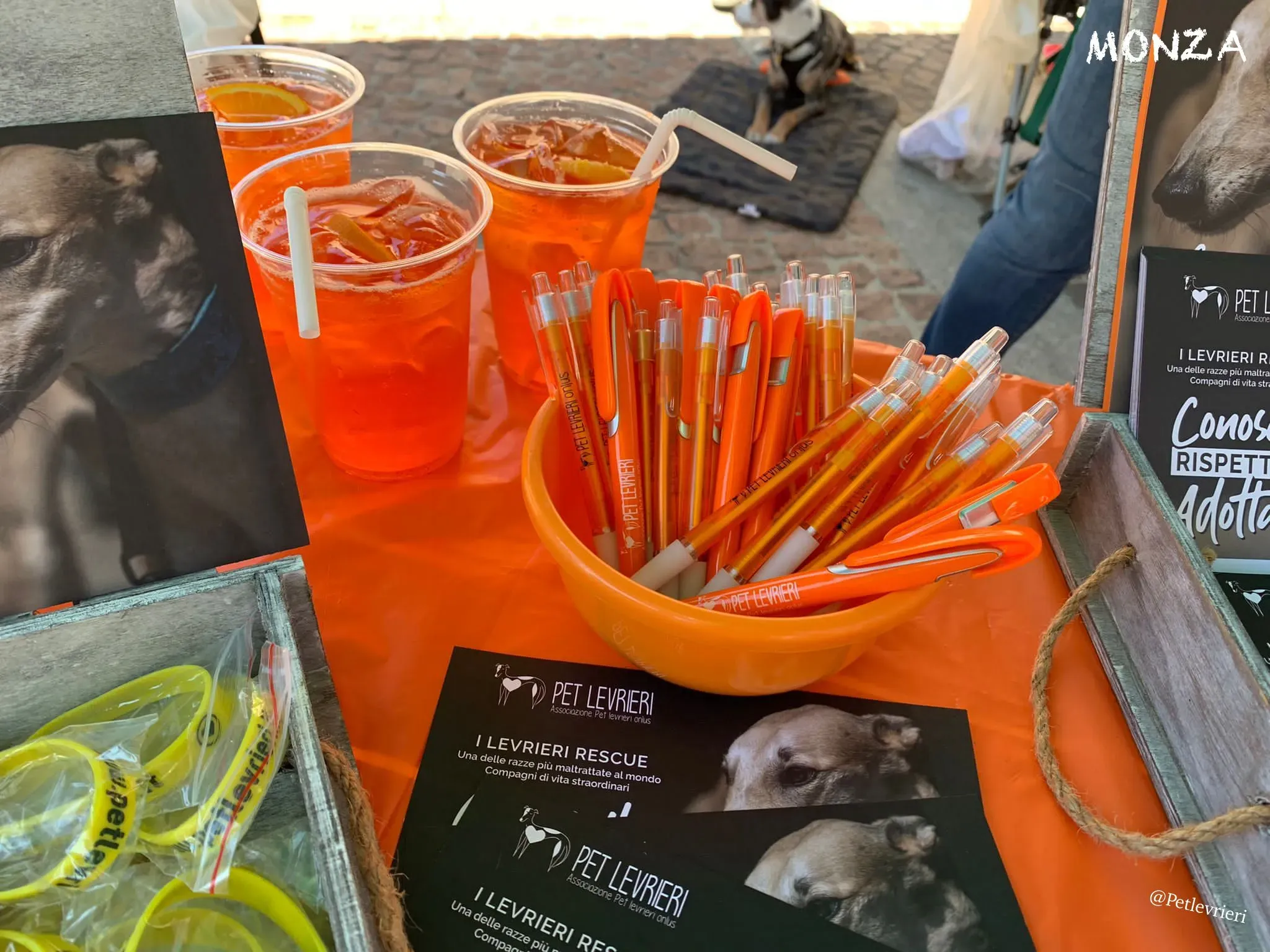 575704fa 3848 469c b7d9 970fc69a5b4f risultato