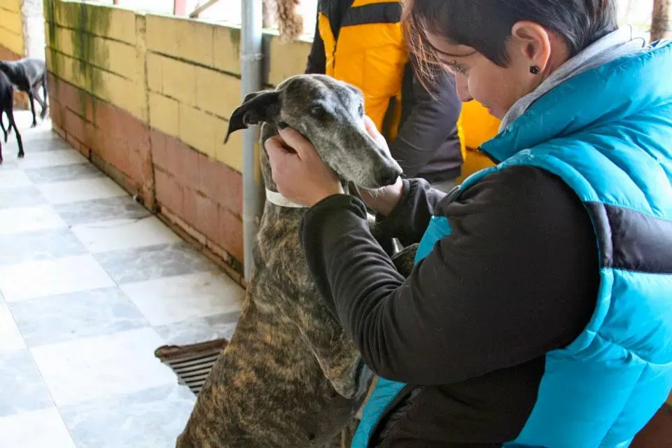 577577 552260614857798 1343599038 n