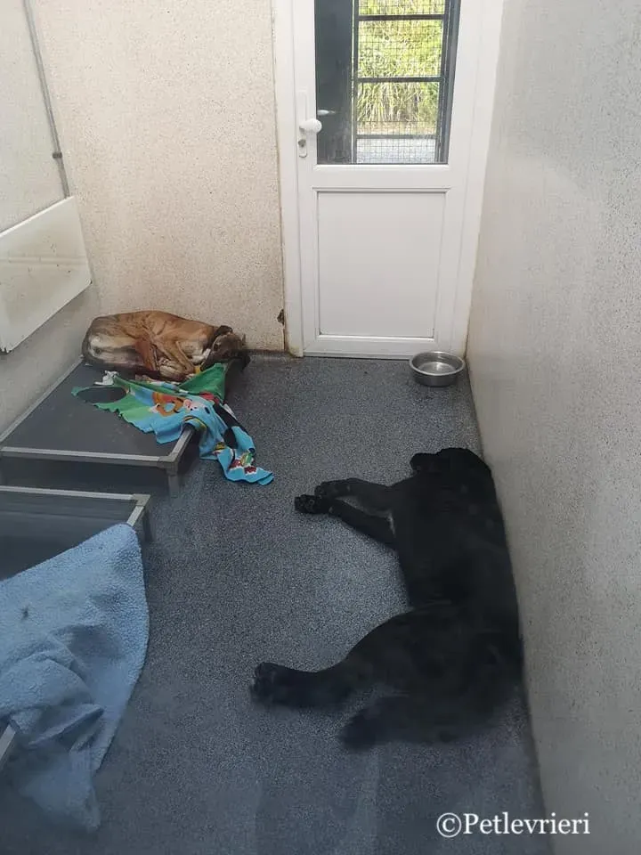 57798762 2907378375946509 4833941406240210944 n