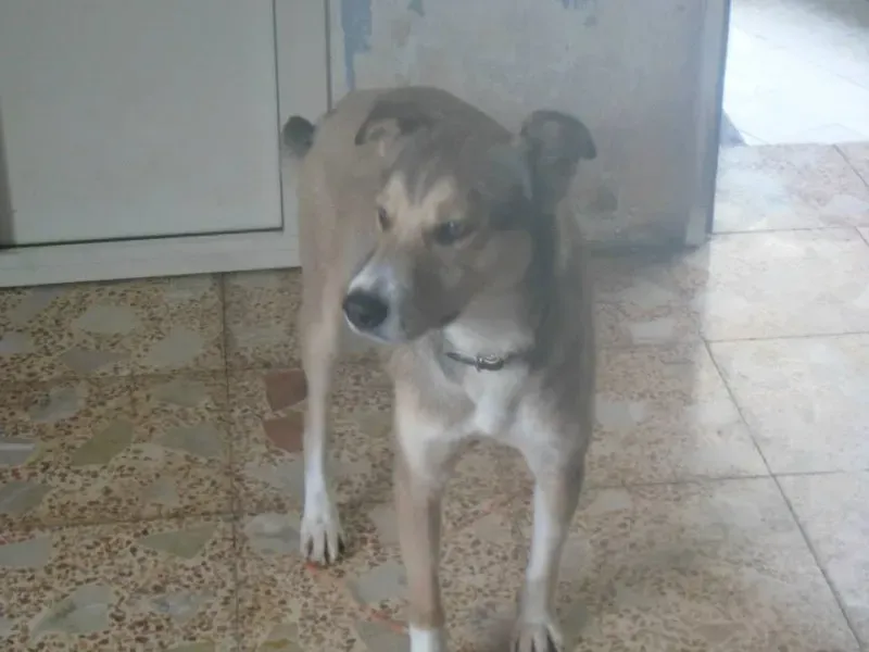 579483 10201075076261507 393640720 n