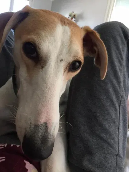 580396 10206252447453498 6597037242733443453 n