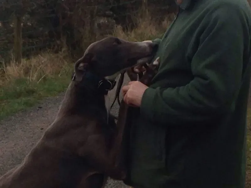 580785 980401365377052 6882796404858641935 n