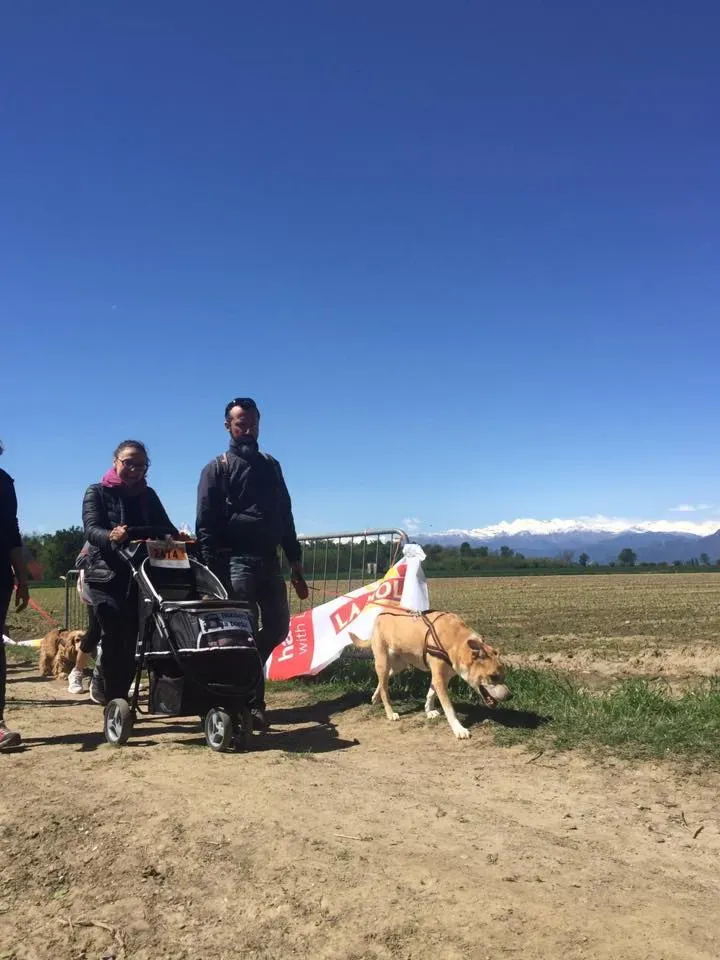 58381918 2284466198281059 3202357212517236736 n