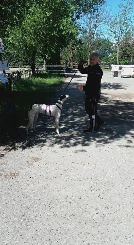 58443701 2284365051624507 5720251798040608768 n