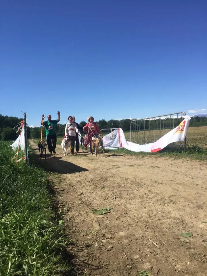 58444196 2284461461614866 4503653086828429312 n