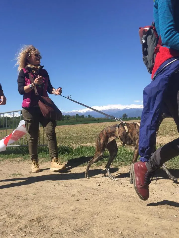 58444766 2284466048281074 886549707378130944 n