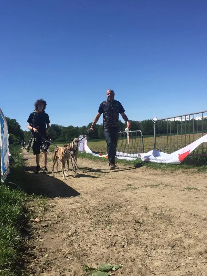 58460631 2284465861614426 8009207713105969152 n