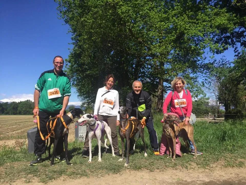 58462685 2284461571614855 5017624835228958720 n