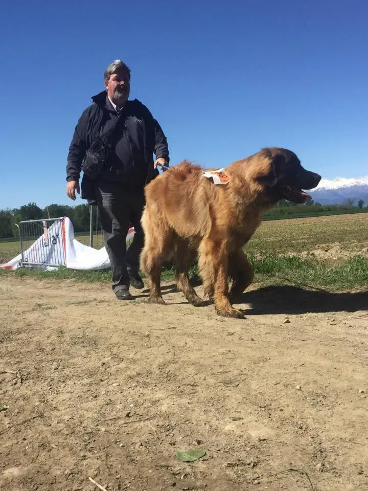 58542751 2284461768281502 7283416080406544384 n