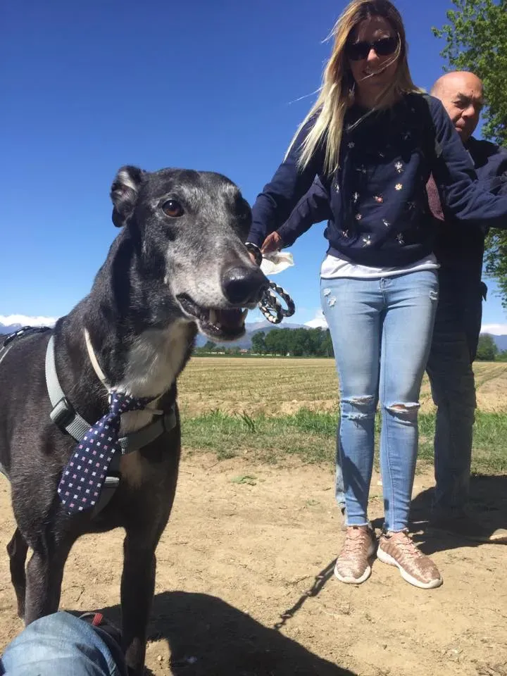 58543755 2284466098281069 8886120922621149184 n