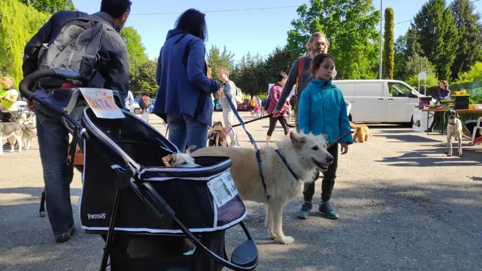 58570562 2284365464957799 2406213298249793536 n