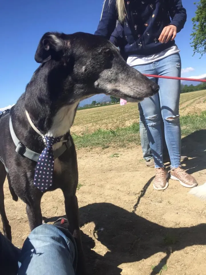 58571048 2284466044947741 7315974745713803264 n