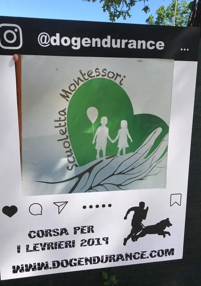 58577523 2284363198291359 1027287513561038848 n