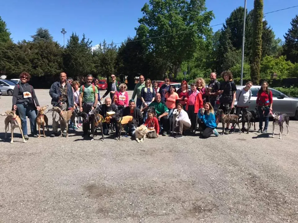 58583837 2284362218291457 3880839694551875584 n