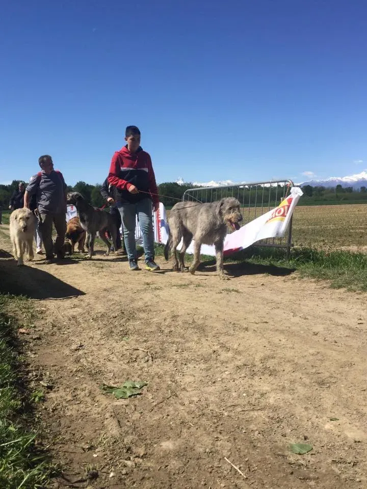 58594683 2284461611614851 4348692260221616128 n