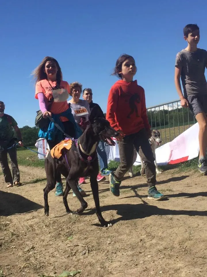 58594828 2284465764947769 8039078128317890560 n