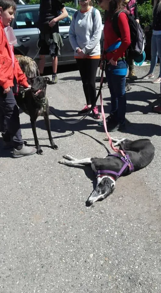 58602773 2284365261624486 2509990217906126848 n