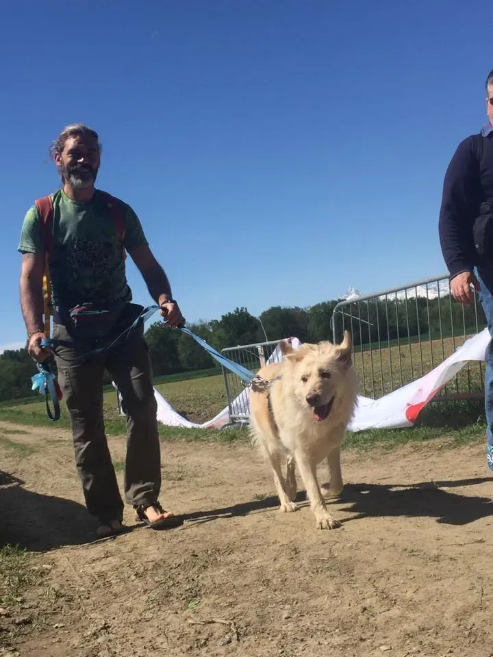 58608408 2284465814947764 2157737989793382400 n