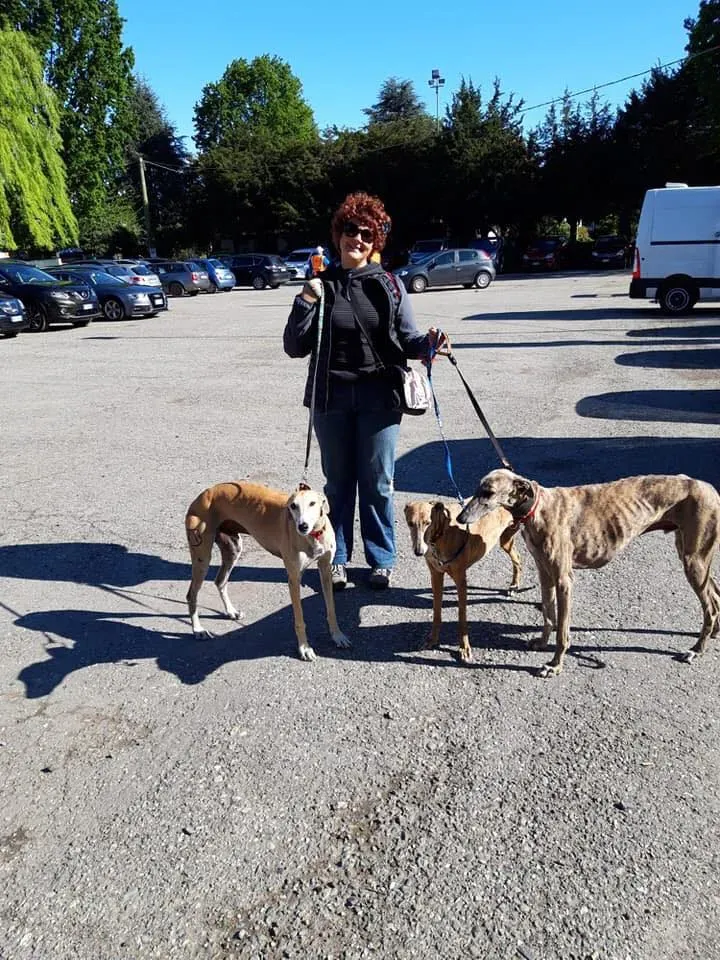 58662264 2284365421624470 1671188890318274560 n