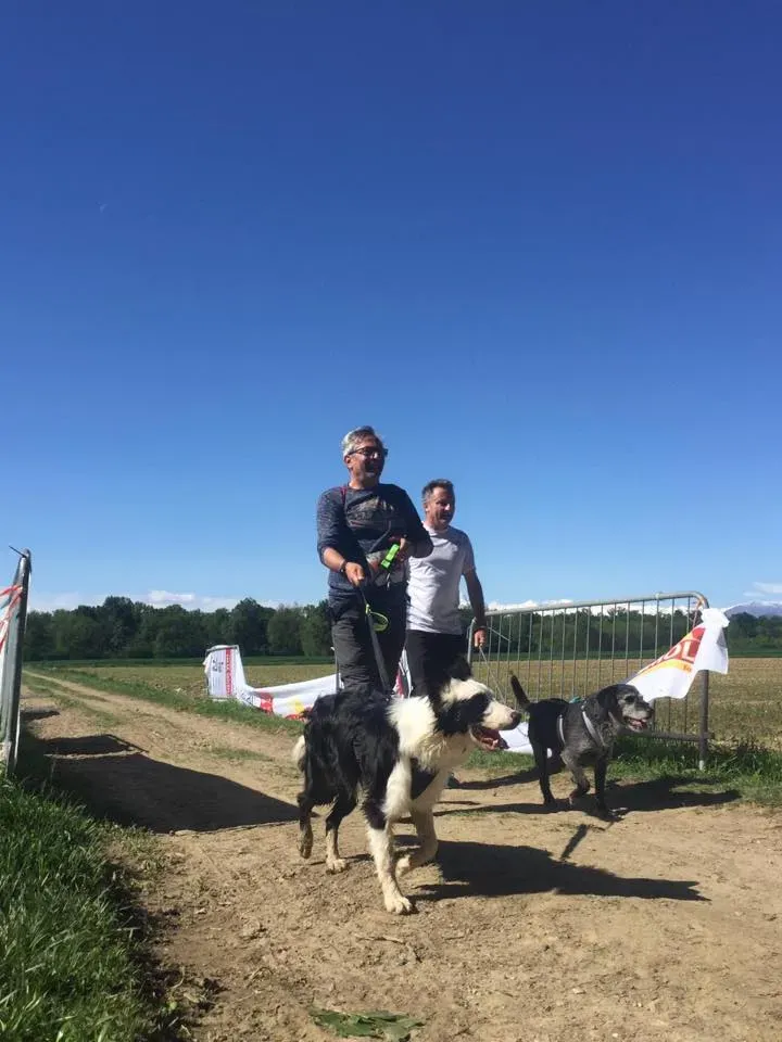 58671907 2284460781614934 7579169559928635392 n