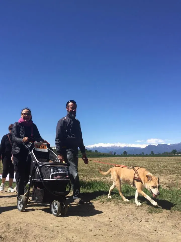 58671940 2284466294947716 2698673938015191040 n