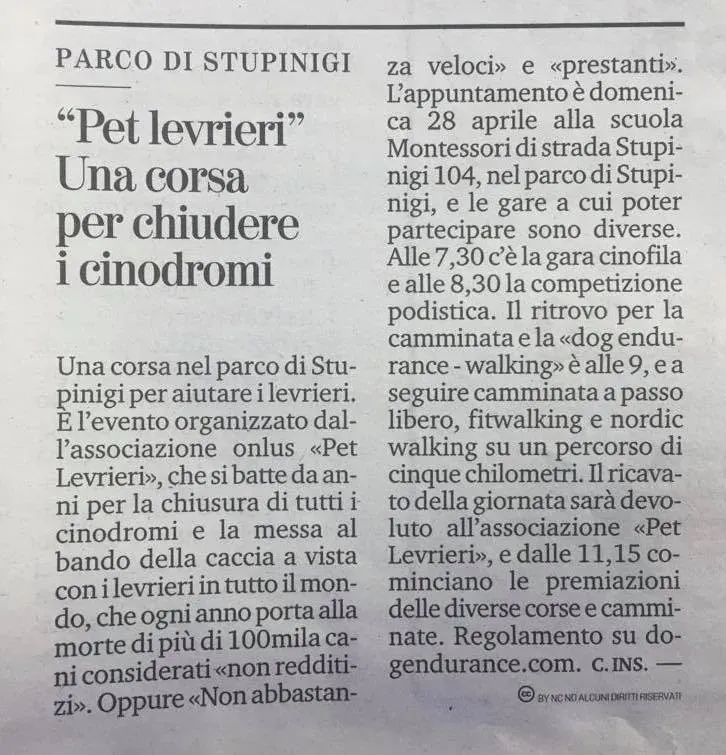 58679396 2278268948900784 6259086592426639360 n