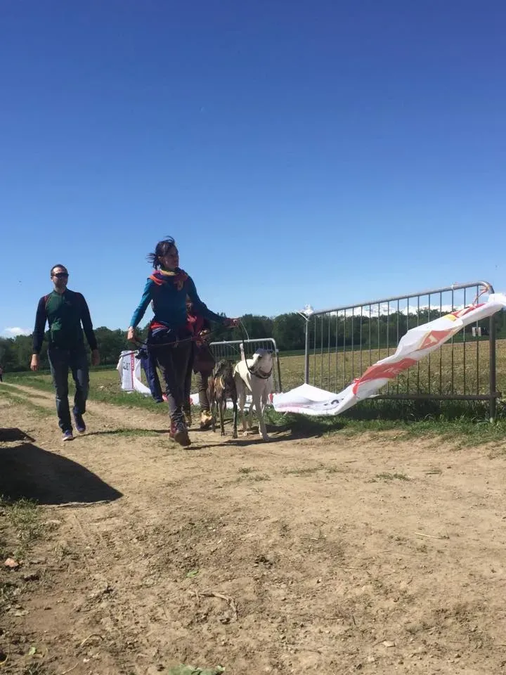 58689373 2284465894947756 6650950255938371584 n