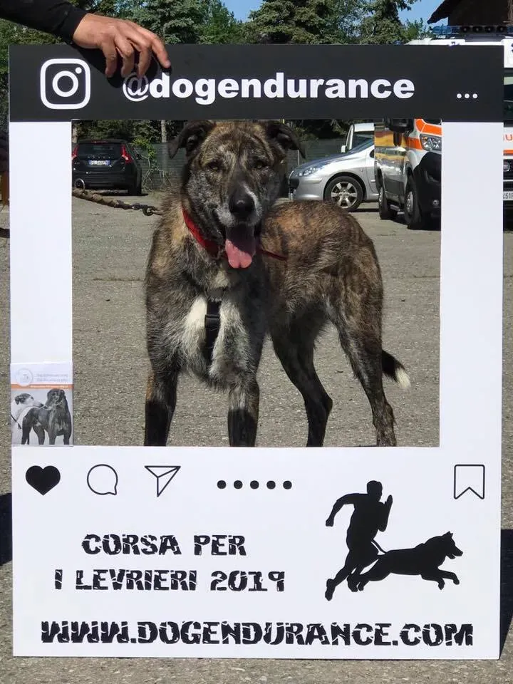 58711549 2284362908291388 140249446926516224 n