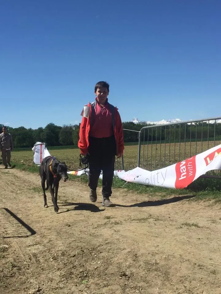 58717993 2284466304947715 7399664889305759744 n