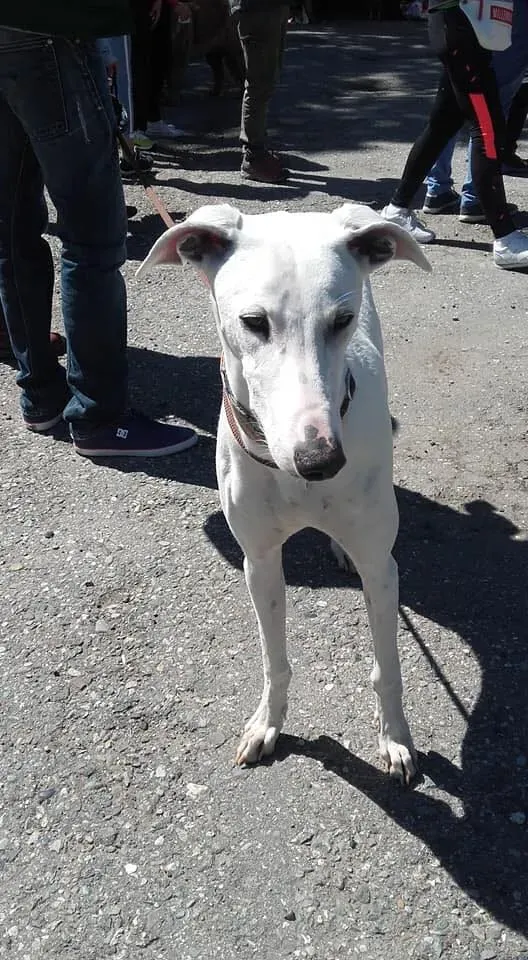 58740058 2284365248291154 5234777754649493504 n