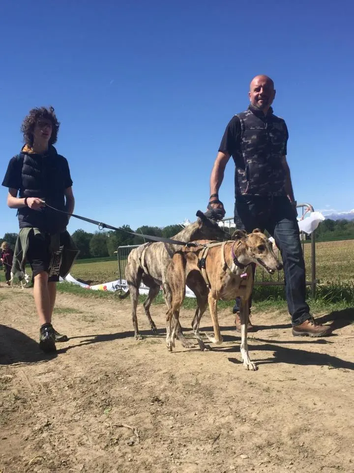 58745161 2284465891614423 7178628804053565440 n