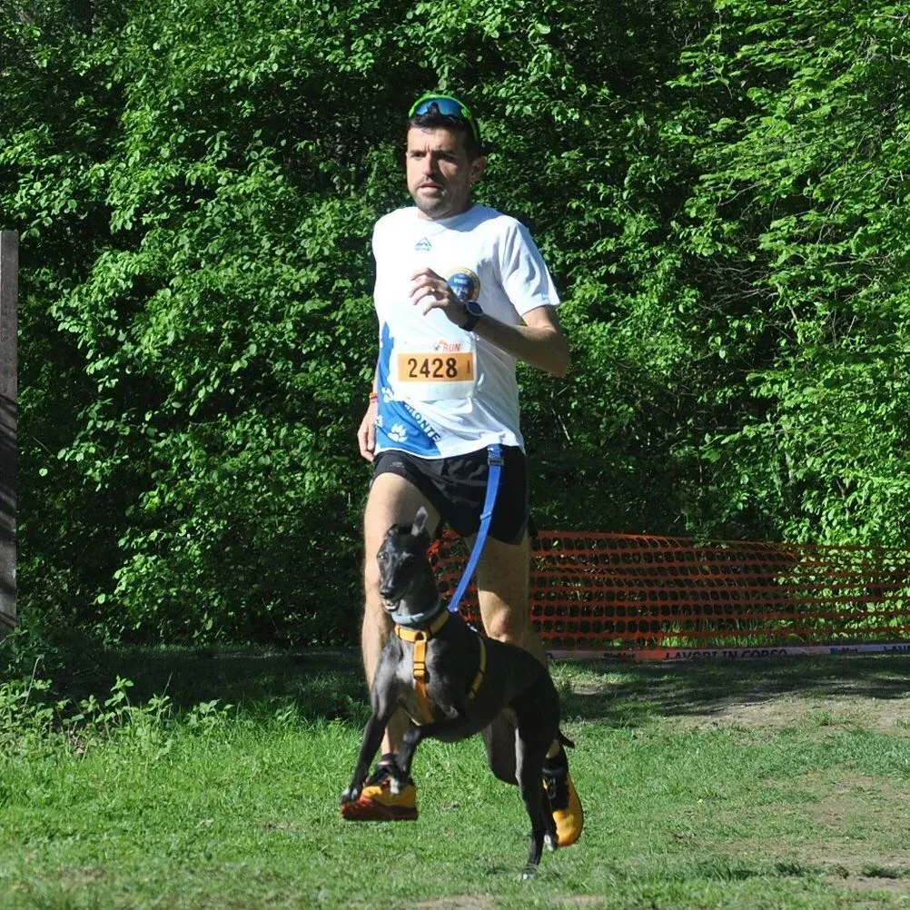 58754956 2286193474774998 4082654237786374144 o