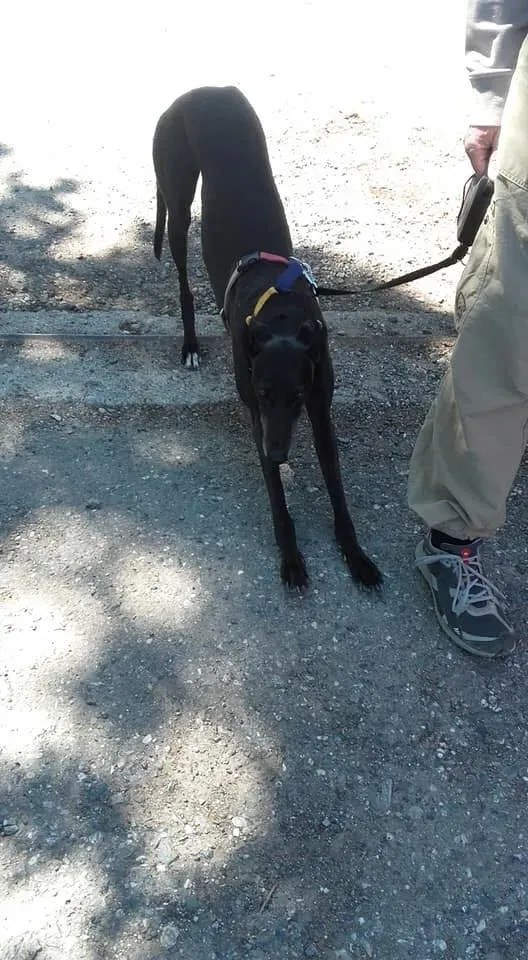 58761598 2284365364957809 8364190599821131776 n