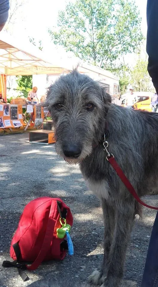 58761655 2284365128291166 1589250547922239488 n