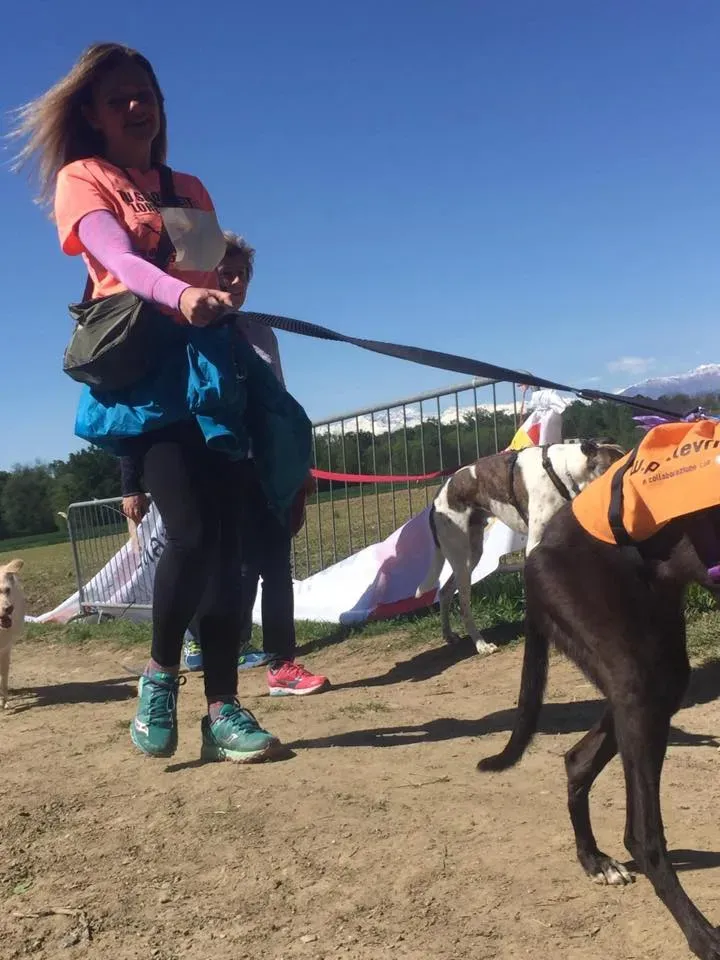 58769475 2284465774947768 6748882438069420032 n