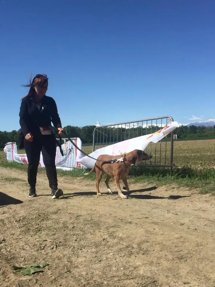 58818368 2284461458281533 9121207675554627584 n