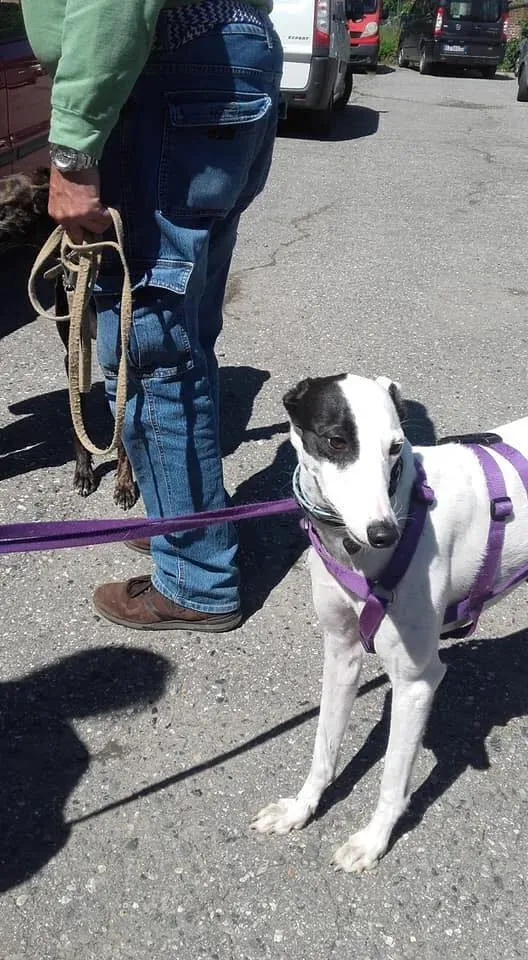 58852822 2284365301624482 3830056125798023168 n