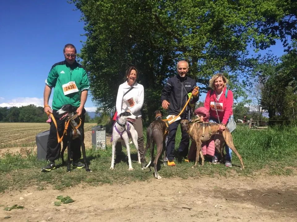 58858035 2284461554948190 6576105614672396288 n