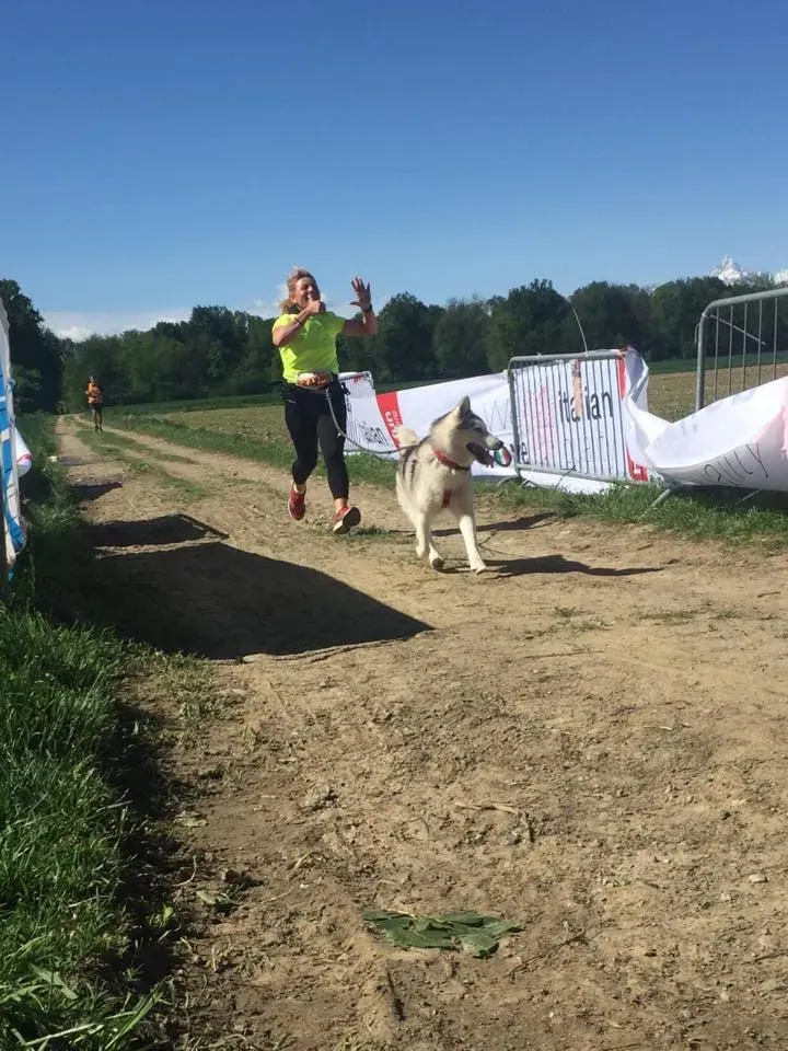 58883179 2284461248281554 2560192514376073216 n