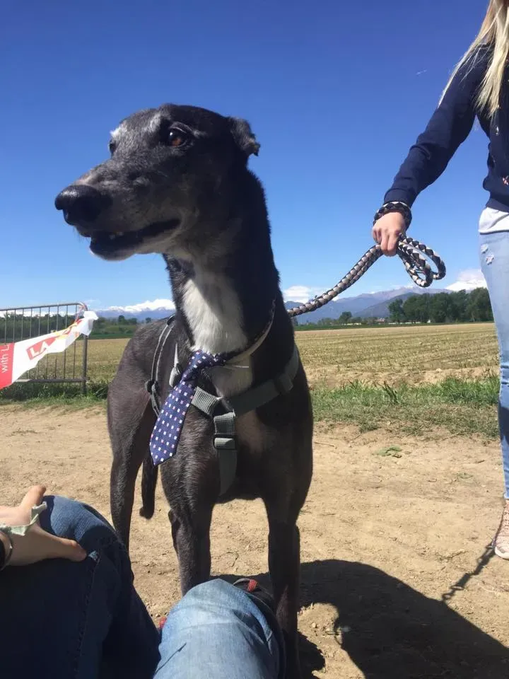 58917088 2284466168281062 40742978892857344 n