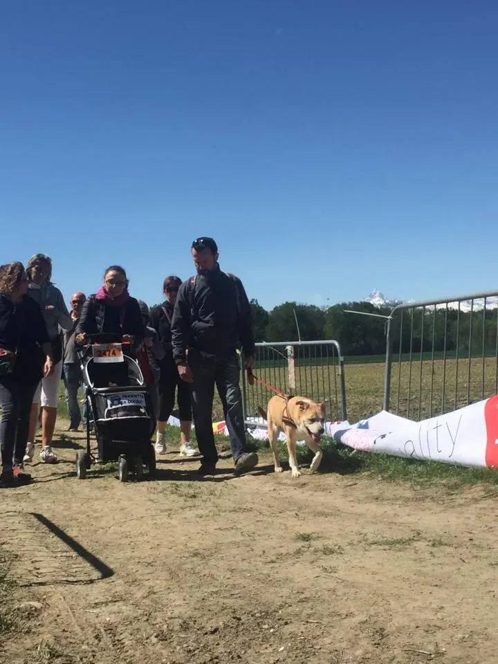 58933380 2284466184947727 3996791351843749888 n