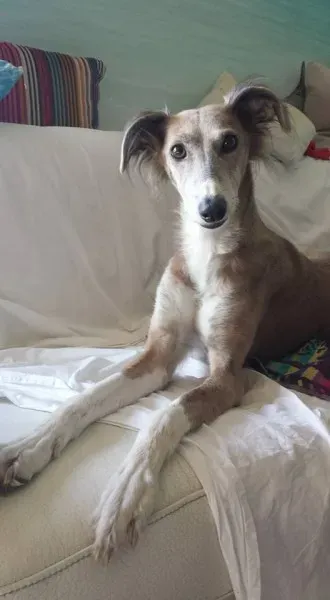 5905 10208781029273409 1903473014729392199 n