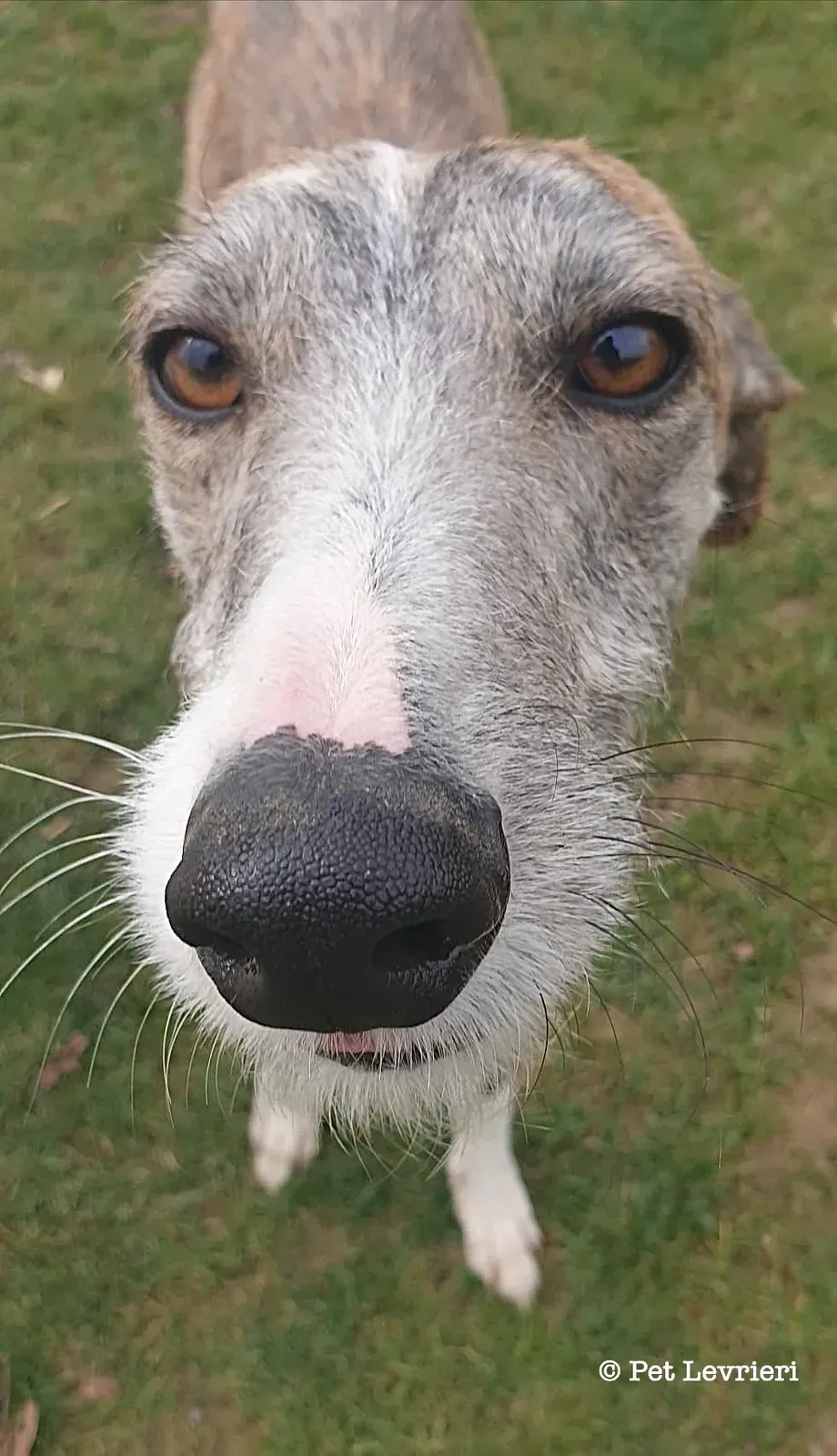 590E8620 FB97 4B01 A25D A65548F7E3F3