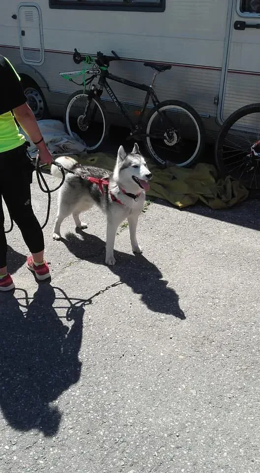 59177945 2284365311624481 5171104963270541312 n