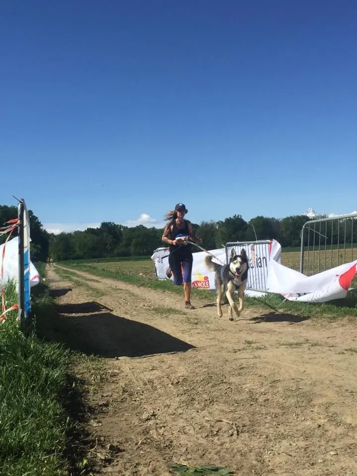 59189153 2284461188281560 5881428159584272384 n