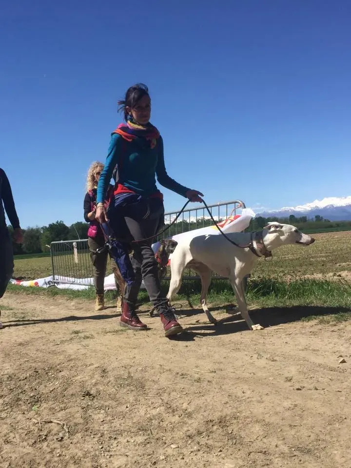 59211442 2284465948281084 4244270708923826176 n