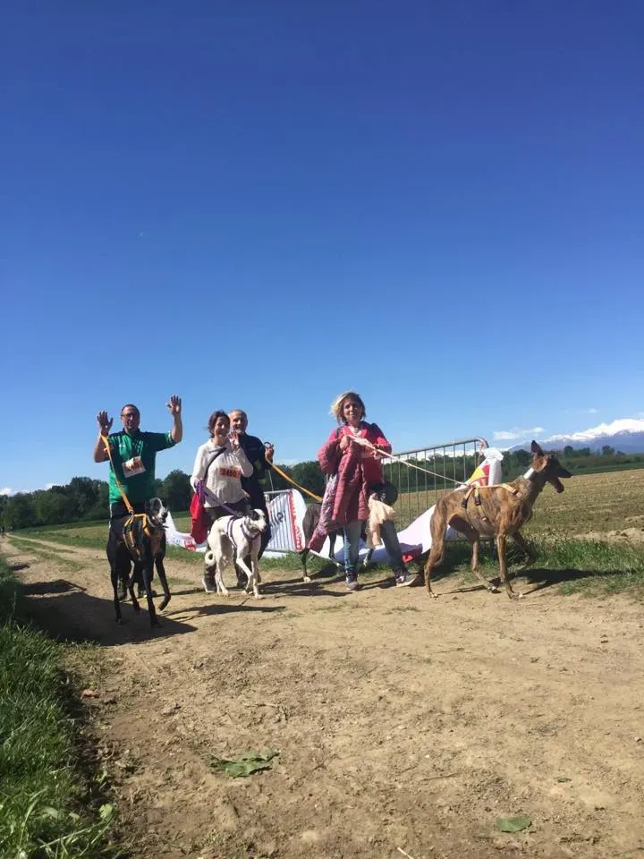 59273876 2284461504948195 7374573166376517632 n