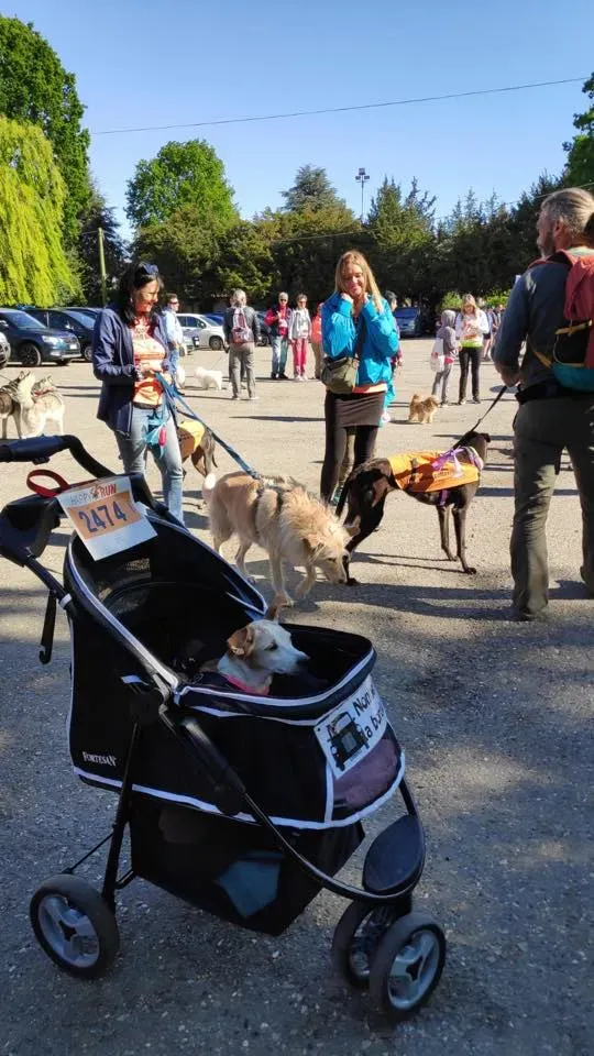 59385257 2284365428291136 8265689364588134400 n