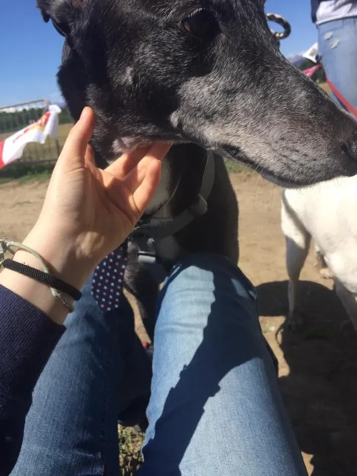 59523983 2284466038281075 4719081314886615040 n